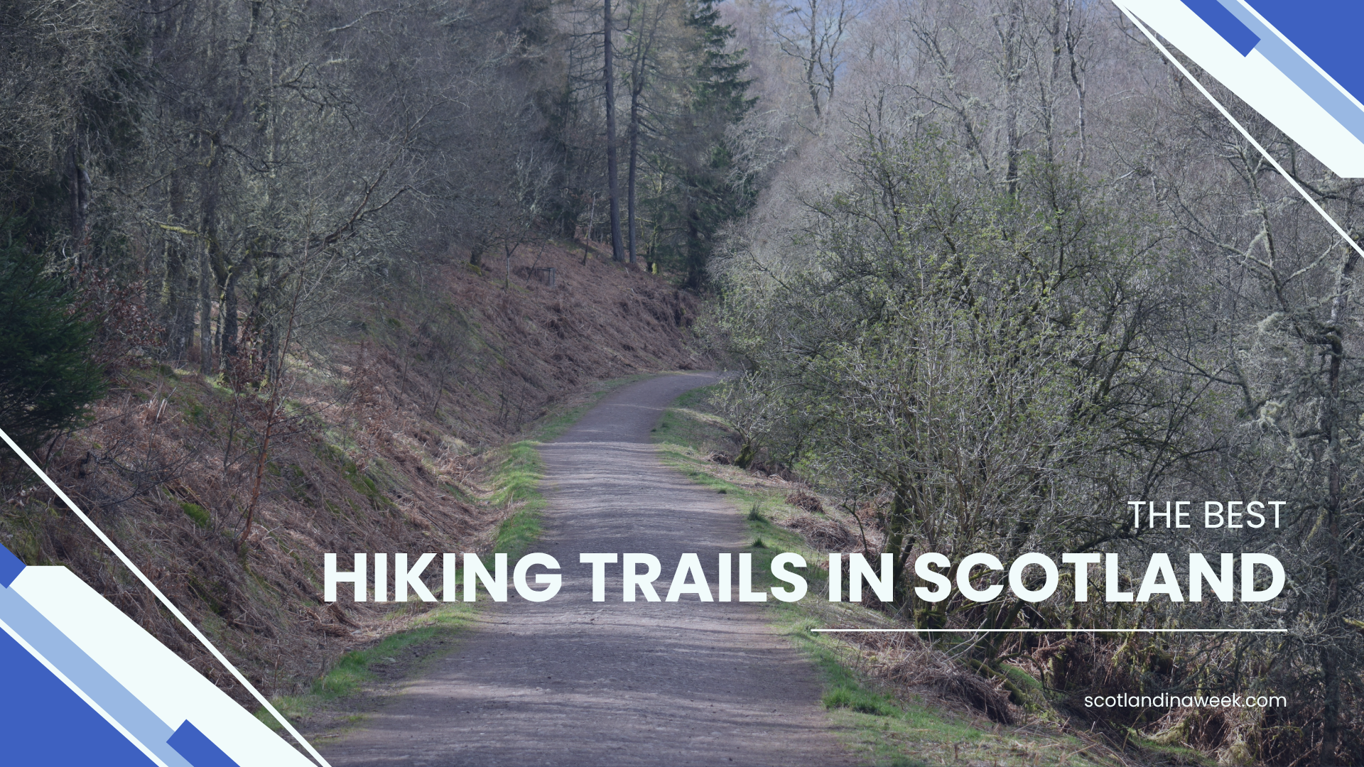 a downhill walking trail with trees on either side